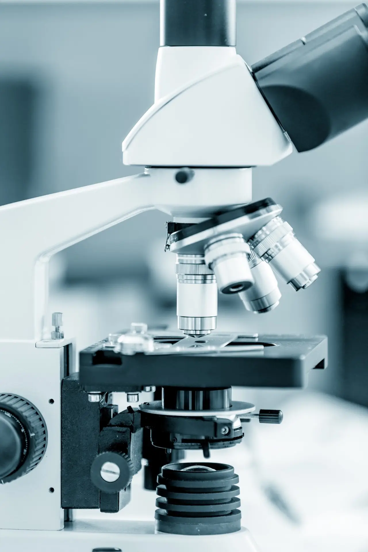 On-site laboratory testing and diagnostic blood work services at Sayf Primary Care medical facility Oak Brook Illinois